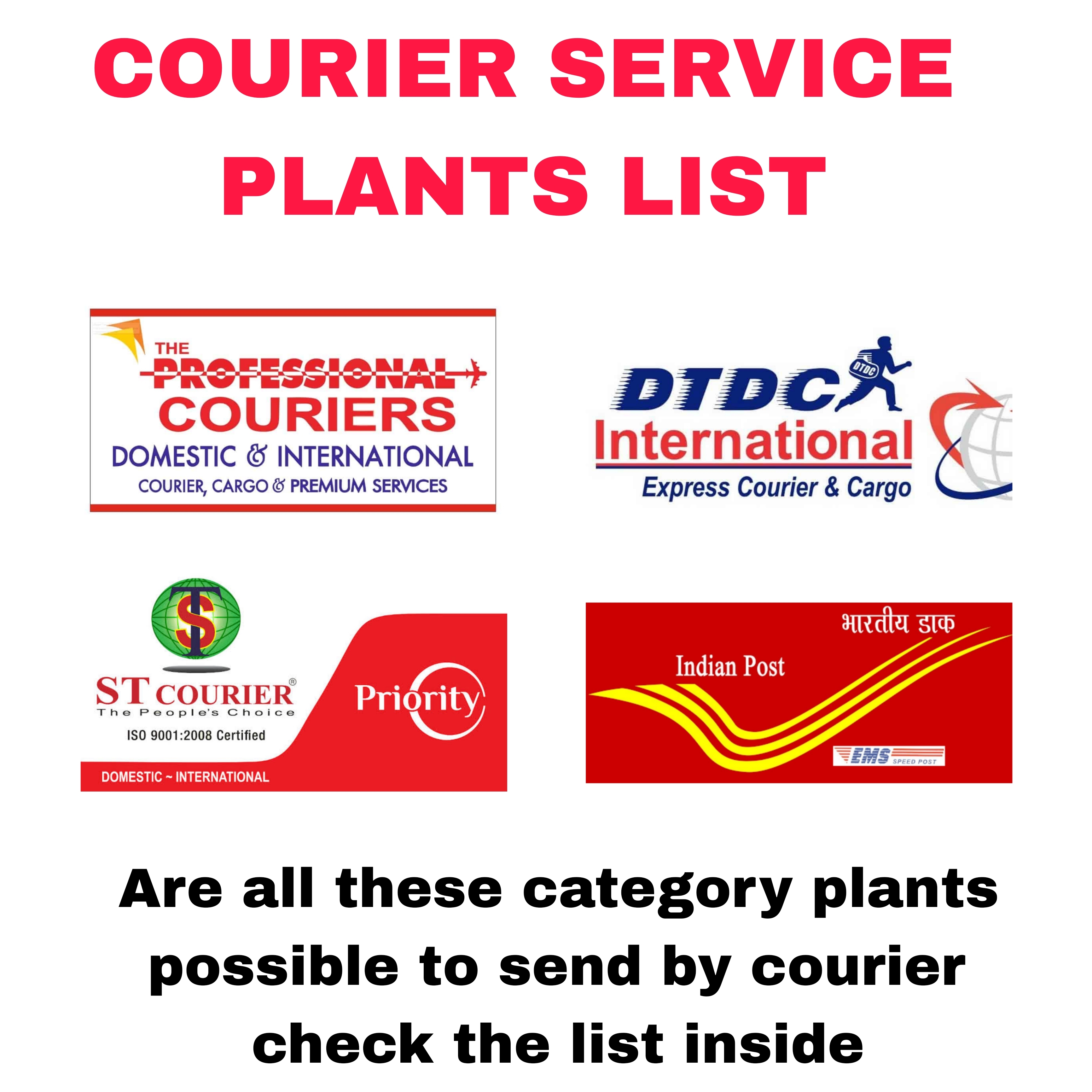 Courier service plants list 